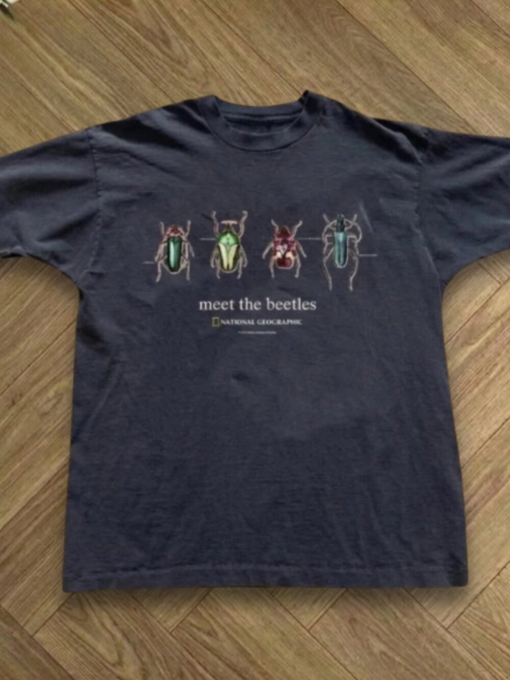 Vintage ''Meet The Beetles '' Bug Graphic Tee Charcoal
